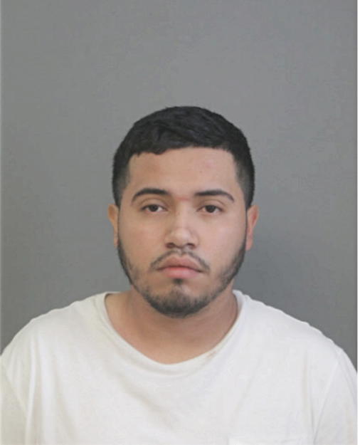 LUIS MENDOZA, Cook County, Illinois