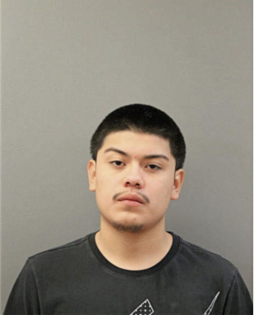 OSCAR G ORTEGA, Cook County, Illinois