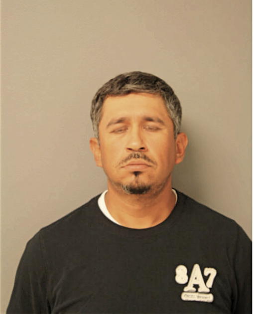 ROGELIO ORTEGA, Cook County, Illinois