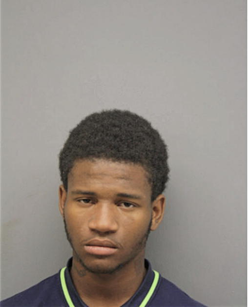 ROMEO N RICHARDS, Cook County, Illinois