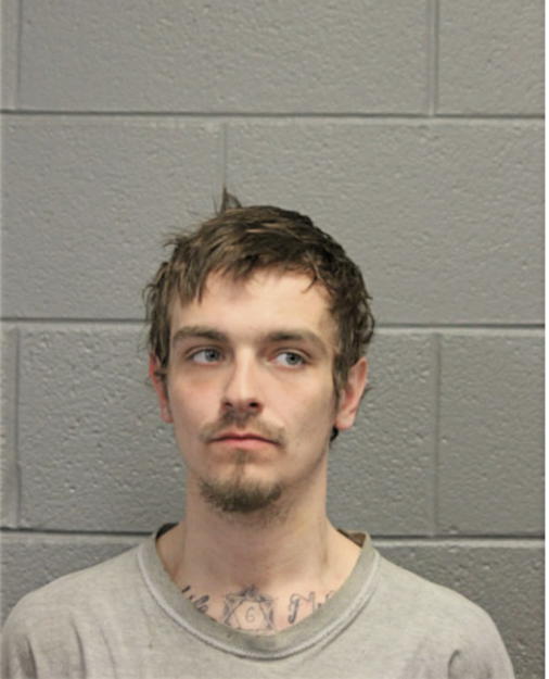 NICHOLAS J ROBERTO, Cook County, Illinois