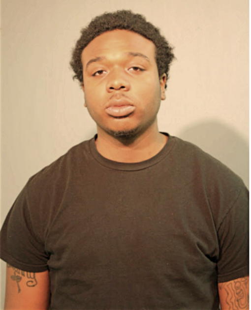JAMES L ROBINSON, Cook County, Illinois
