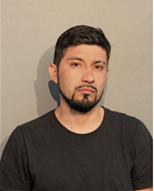 GUSTAVO LUNA RODRIGUEZ, Cook County, Illinois