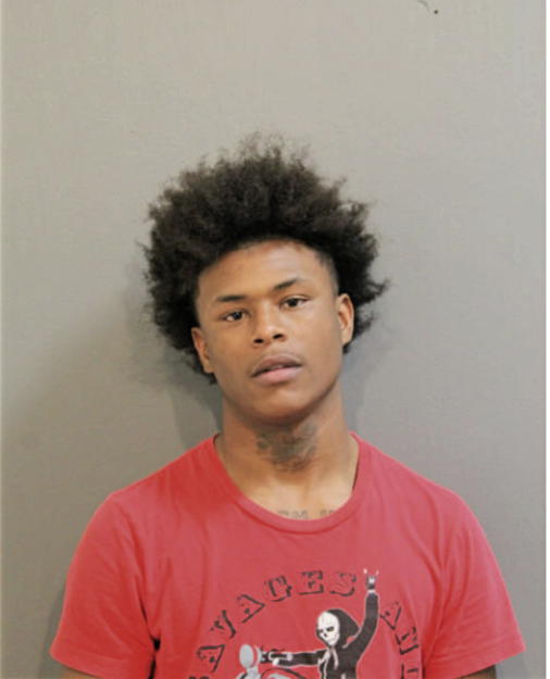 NICOLAS SPACE, Cook County, Illinois