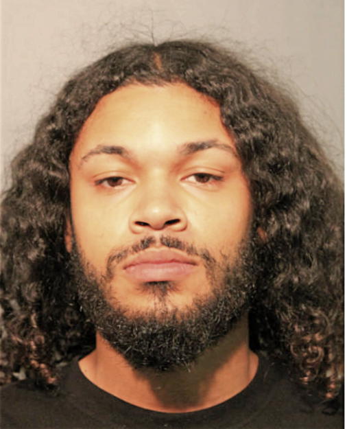 DOMINIQUE J STANCLE, Cook County, Illinois