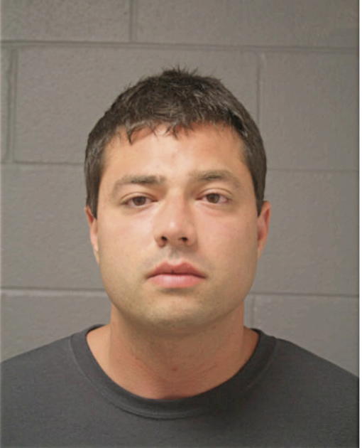 MICHAEL P STEVENS, Cook County, Illinois