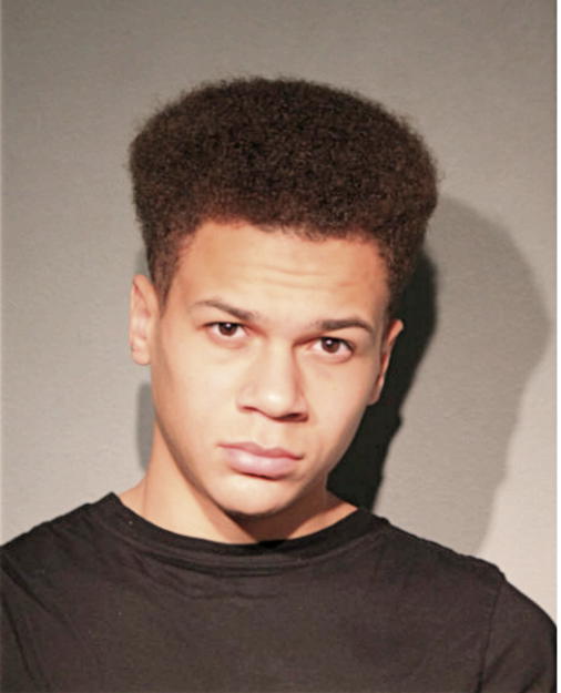MICHAEL L STEWARD, Cook County, Illinois
