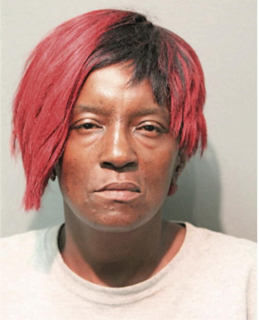 TRINETTA D WELLS, Cook County, Illinois