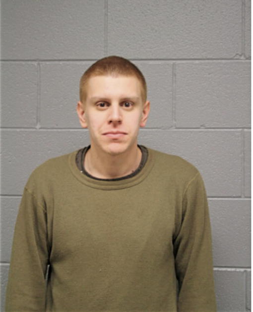 MICHAEL J WNEK, Cook County, Illinois