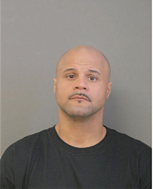 JAMES T ANDERSON, Cook County, Illinois