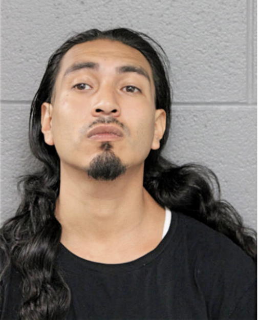 HUGO ARMENTA, Cook County, Illinois