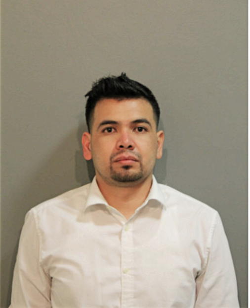 ROBERTO L BARBOZA, Cook County, Illinois