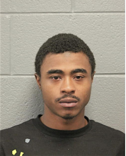 DAVID E DAVIS, Cook County, Illinois