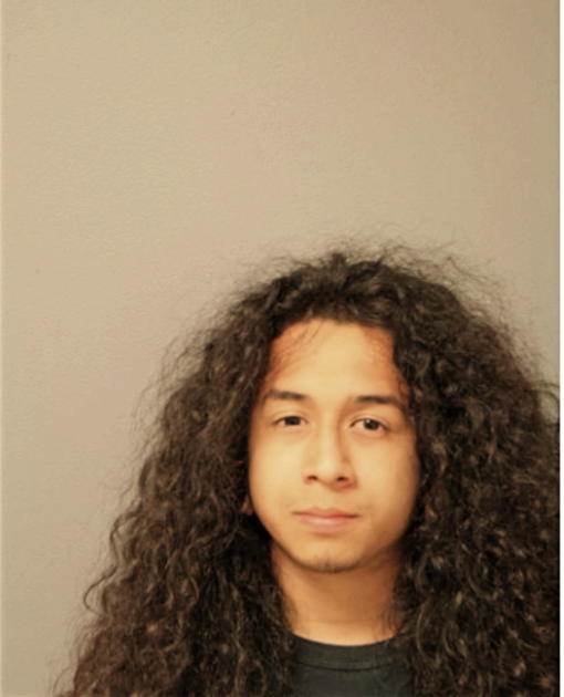 SERGIO A GUDINO-ESPINOZA, Cook County, Illinois