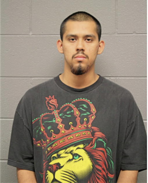 ALEJANDRO GUZMAN, Cook County, Illinois