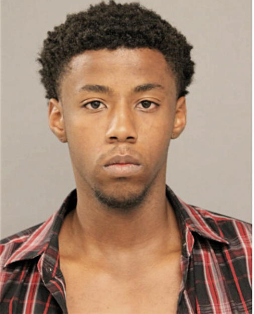JAMES E JOHNSON, Cook County, Illinois