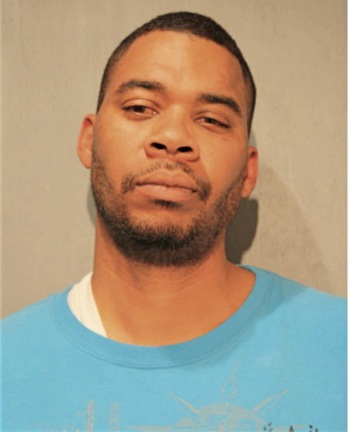 MICHAEL L JOHNSON, Cook County, Illinois