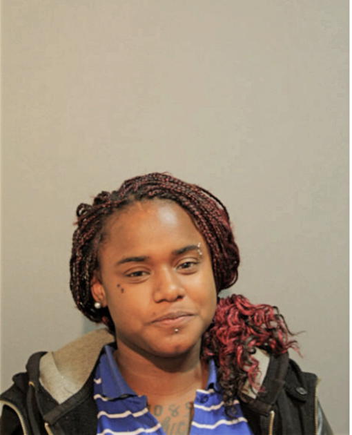 ELIZABETH N LACY, Cook County, Illinois