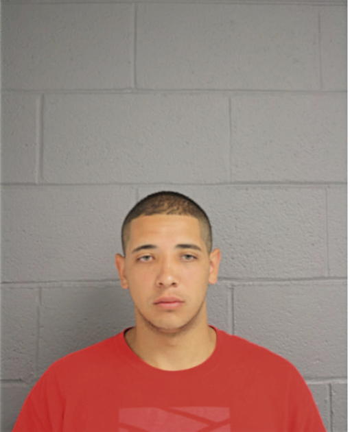 JESUS M MARTINEZ, Cook County, Illinois