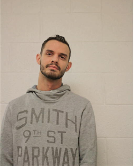 LOGAN A MCDONELL, Cook County, Illinois
