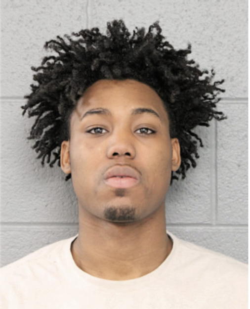LARRY D PEARSON, Cook County, Illinois