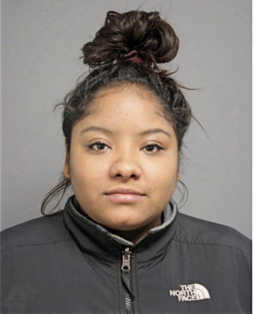 LARISSA M STEVENSON, Cook County, Illinois