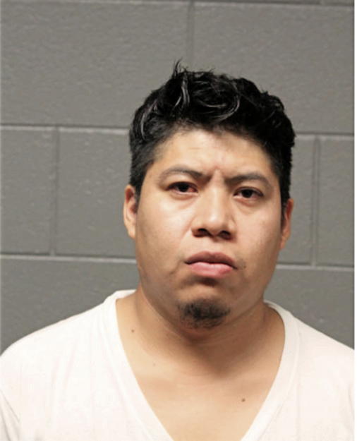 VICENTE TORRES-DIAZ, Cook County, Illinois