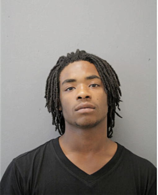 JUSTIN L WISE, Cook County, Illinois