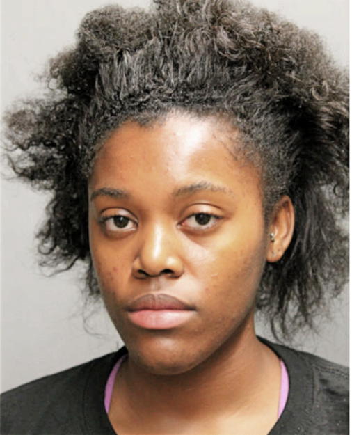 AMBER N YOUNG, Cook County, Illinois