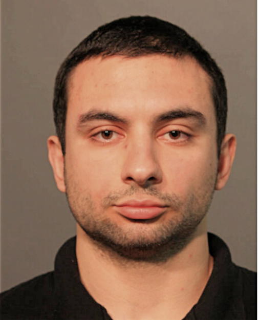 DANIEL A ABRAM, Cook County, Illinois