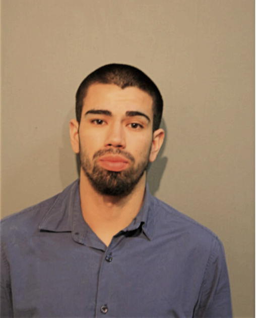 LUIS R ALDAPE-MUNOZ, Cook County, Illinois