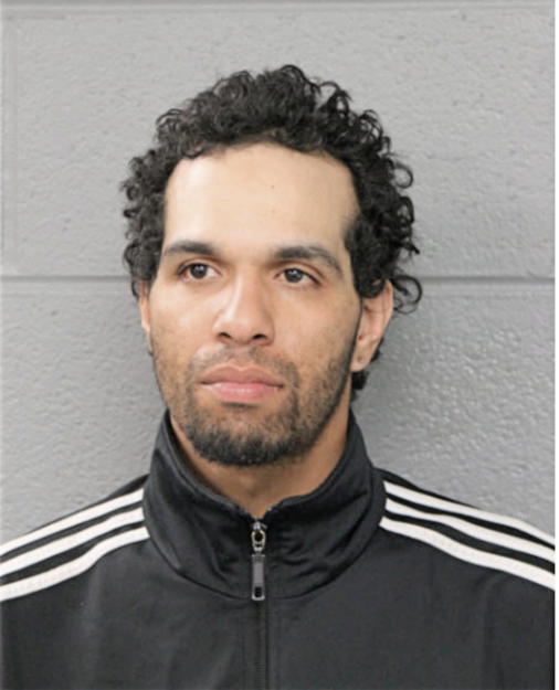 PEDRO M APONTE, Cook County, Illinois