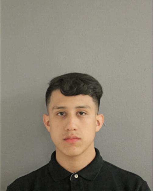 BRIAN S BENITEZ, Cook County, Illinois