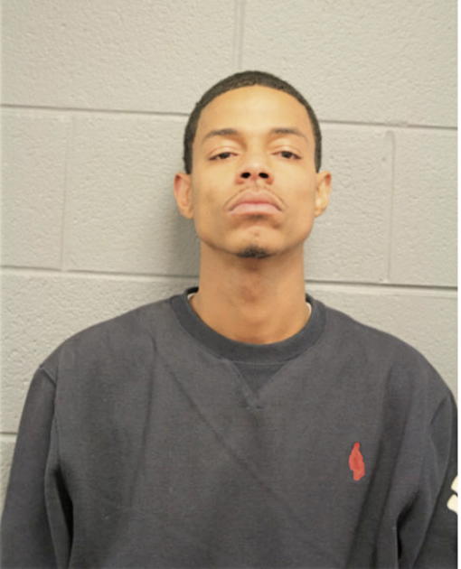 TORREY BIRGE, Cook County, Illinois