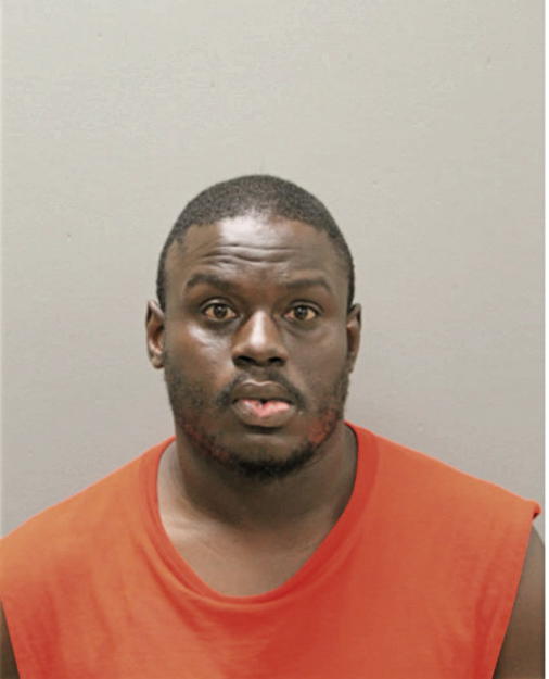 RICCARDO L BRADLEY, Cook County, Illinois