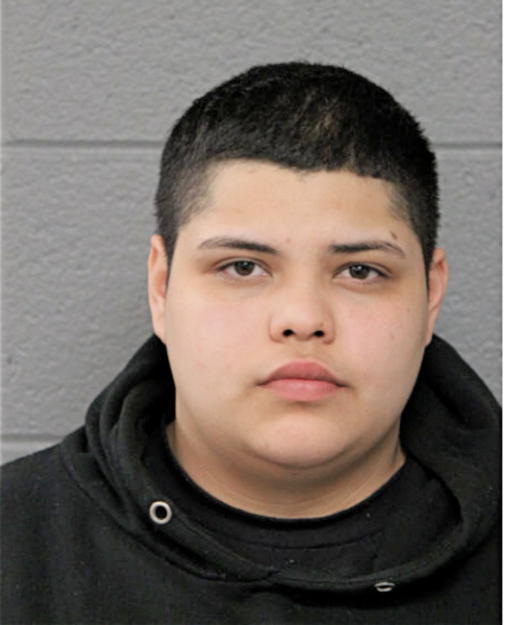 KASSANDRA CARRIZALES, Cook County, Illinois