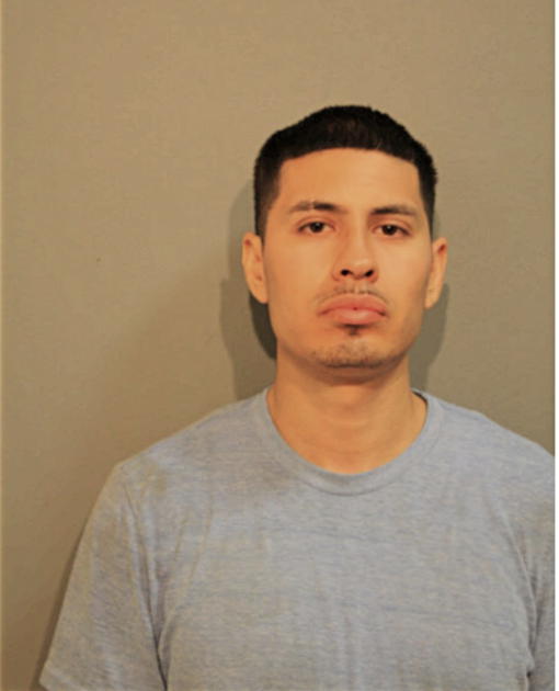 JESUS CERDA, Cook County, Illinois