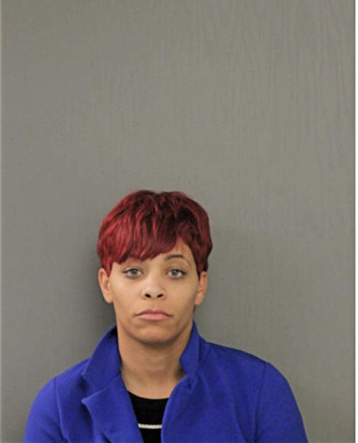 HANNA M FERNANDO, Cook County, Illinois