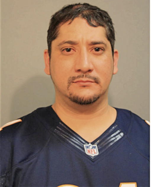 CARLOS FLORES, Cook County, Illinois