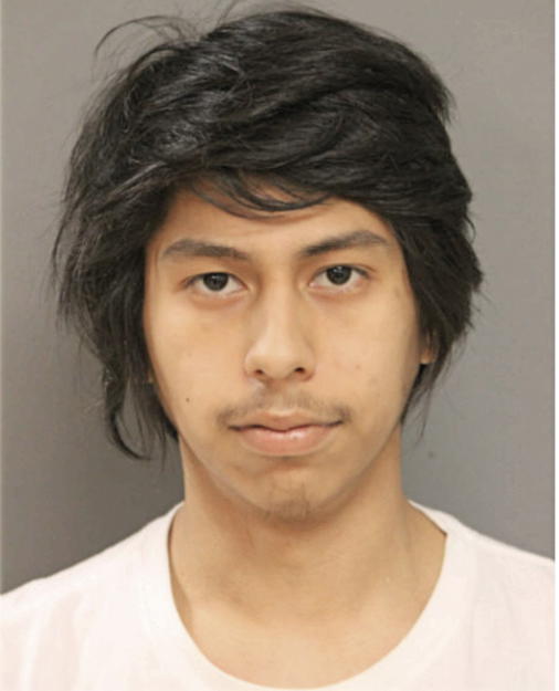 ELVIS FLORES, Cook County, Illinois