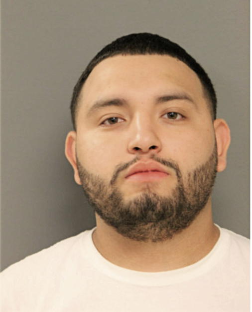 ANDREW B GONZALEZ, Cook County, Illinois