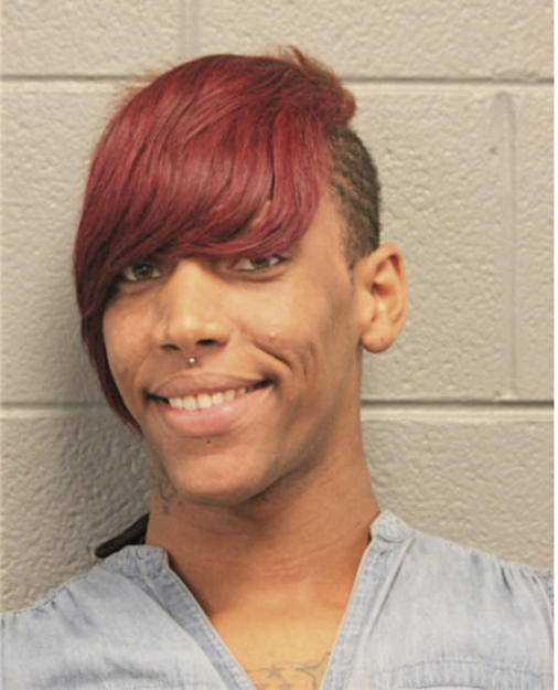 DONALD T HENDERSON, Cook County, Illinois