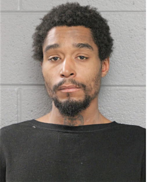 DARNELL S JOHNSON, Cook County, Illinois