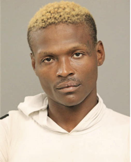 MICHAEL JONES, Cook County, Illinois