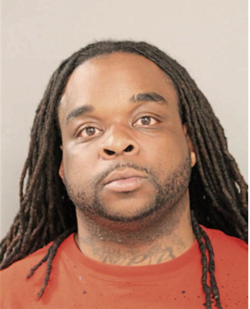 BRUCE D LLOYD, Cook County, Illinois