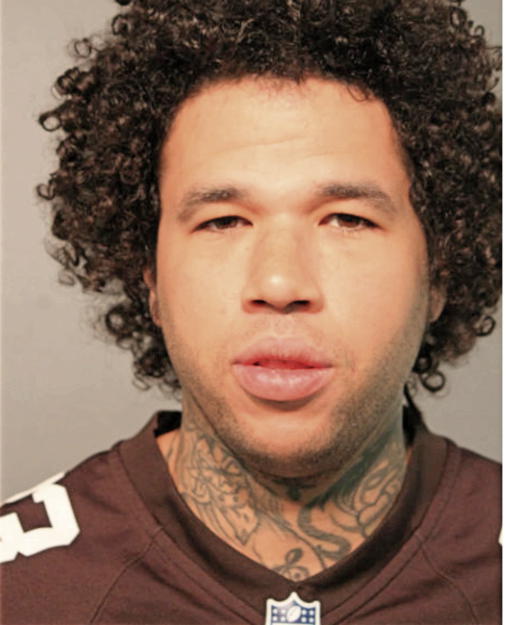 RICHARD J MAYS, Cook County, Illinois