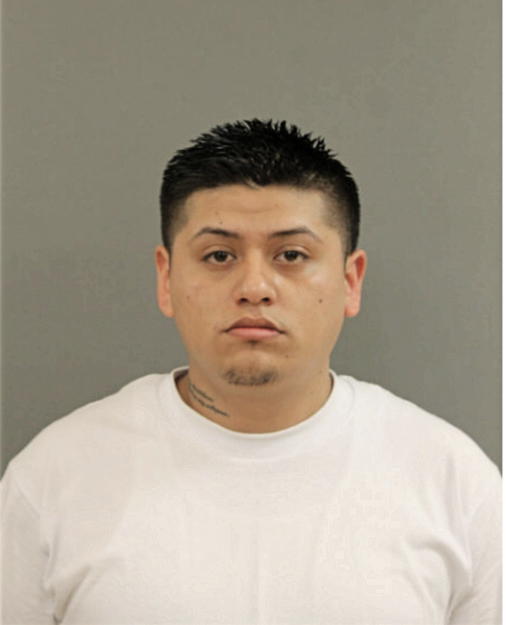 LUIS MELCHOR-GONZALEZ, Cook County, Illinois