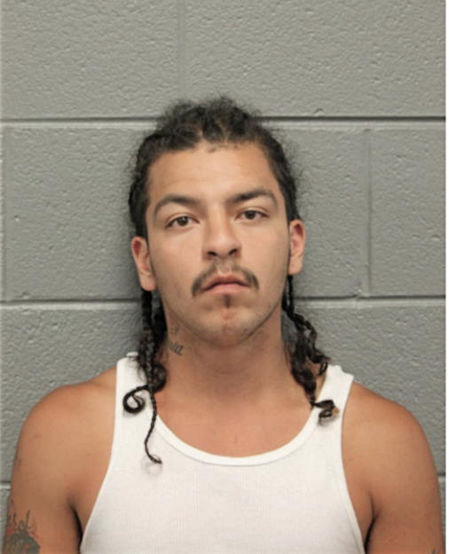 MICHAEL A PADILLA, Cook County, Illinois