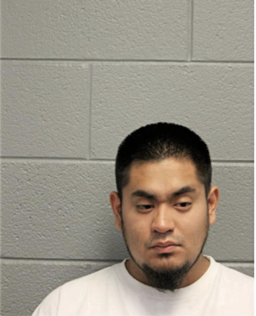 JOSE P PINEDA, Cook County, Illinois