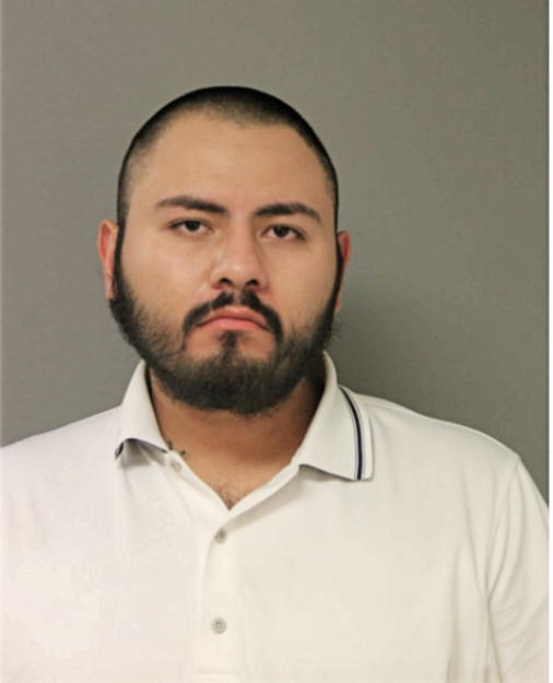 DAVID IGNACIO RAMIREZ MONDRAGON, Cook County, Illinois